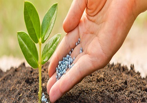 واردات کودهای کم خطر با ارز مبادله ای و حداقل تعرفه