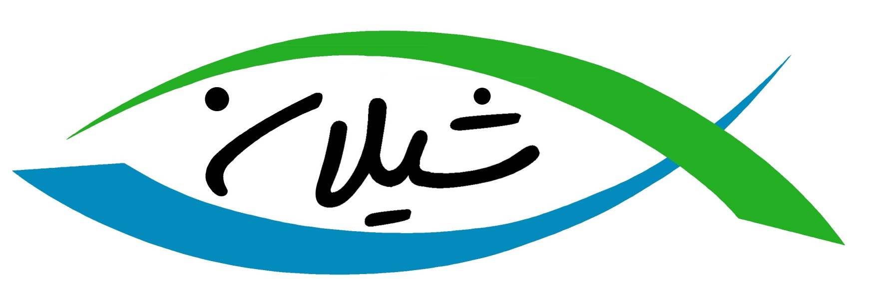لوگوی شرکت دریا شیلان دز