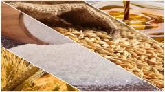 عرضه گندم، جو، شکر، روغن، ذرت، کنجاله سویا و جوجه یک روزه در بورس کالا