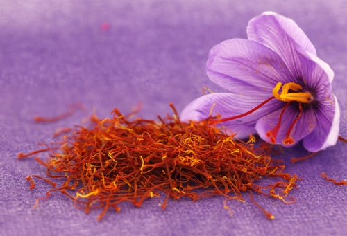 طرح جامع زعفران از ۸ سال پیش خاک می‌خورد/ اروپایی‌ها به دنبال فروش کالای خود هستند نه خرید از ما