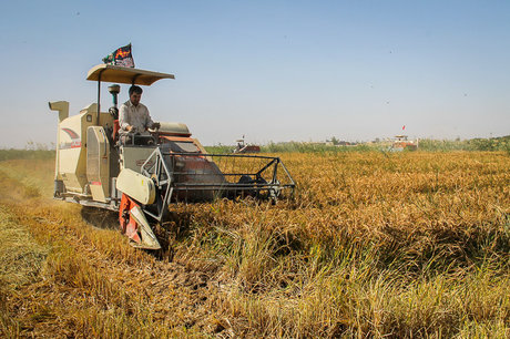 تولید مجهزترین کمباین برداشت برنج با مشارکت ایران و کره