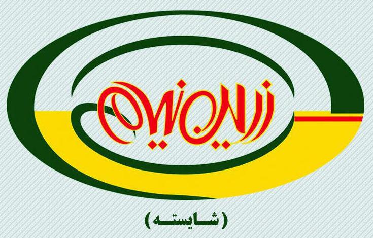 لوگوی شرکت زرین نیام