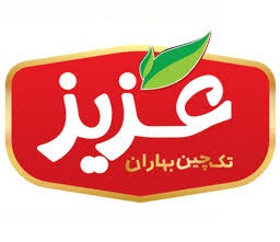لوگوی شرکت تک چین بهاران