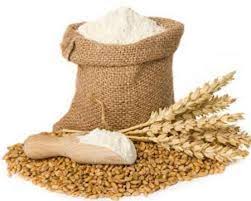 قیمت ۳۵۰۰ تومانی گندم وارداتی صحت ندارد/ تولید بیش از ۷ میلیارد دلار آرد و گندم در کشور