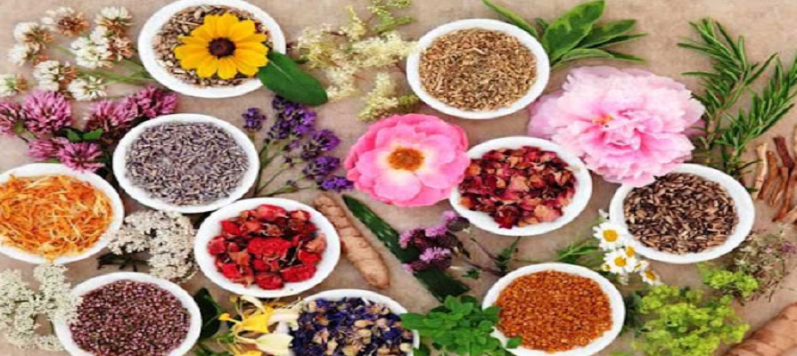 آغاز قیمت‌ گذاری 150 گیاه دارویی در سامانه جامع گیاهان دارویی ایران