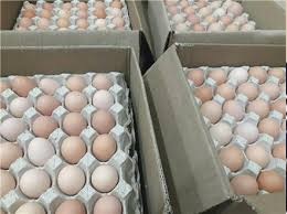 688 میلیون تومان صرفه جویی روزانه با حذف کارتن تخم مرغ در کشور