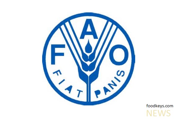 تقویت همکاری  فائو با ایران برای ارتقای ایمنی و سلامت محصولات کشاورزی