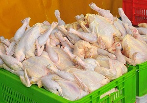 توزیع روزانه ۴۰ تن مرغ در میادین میوه و تره ‌بار