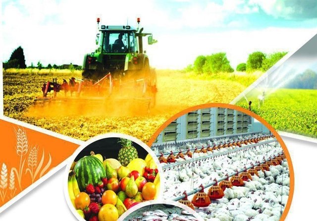 عدم کنترل لازم بر تولید محصولات سالم/نتایج طرح تحقیقاتی برای باقی‌ مانده سموم کشاورزی