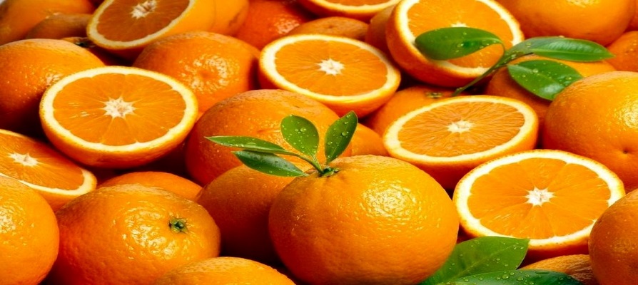 ذخیره پرتقال مازاد بر نیاز در سردخانه‌ها/ صادرات پرتقال ادامه دارد