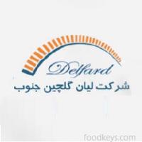 لوگوی شرکت لیان گلچین جنوب