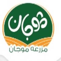 لوگوی شرکت صنایع غذایی موجان