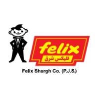 لوگوی شرکت فلیکس شرق