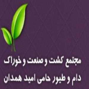 لوگوی کشت و صنعت حامی امید همدان