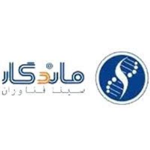 لوگوی شرکت سینا فناوران ماندگار