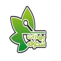 لوگوی شرکت مزه بخش سبز شکوفه