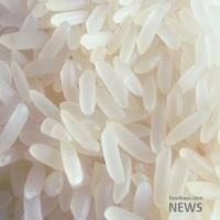 هیچگونه تولید و واردات برنج فراریخته تجاری در کشور نداریم