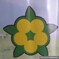 لوگوی شرکت تولیدی فرآورده های لبنی سبز شکوفه سراب