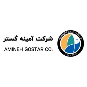 لوگوی شرکت آمینه گستر