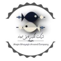 لوگوی شرکت تعاونی نگین قایق اروند - جمیا