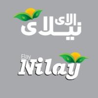 لوگوی شرکت آرین سیف پاسارگاد