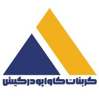 لوگوی کربنات کاوا پودر کیش