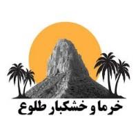 لوگوی شرکت طلوع علم تابان جنوب
