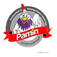 لوگوی شرکت پارس آیلین مهر