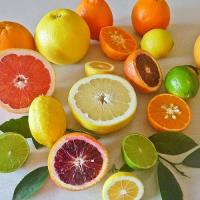 تولید دو میلیون و ۷۰۰ هزار تن مرکبات در مازندران