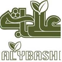 لوگوی شرکت هونام صنعت زرین
