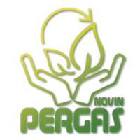 لوگوی پرگاس نوین آذر کیمیا