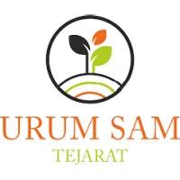 لوگوی شرکت اروم سام تجارت (لون استار)