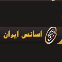لوگوی شرکت صنعتی اسانس ایران