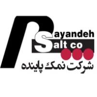 لوگوی شرکت نمک پاینده