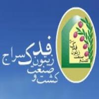 لوگوی شرکت کشت و صنعت زیتون فدک سراج