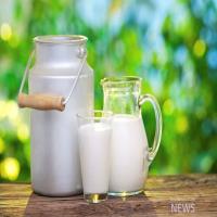 نسخه درمان سرانه مصرف شیر خام کی پیچیده می شود؟