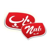 لوگوی شرکت فردوس ناب