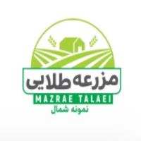 لوگوی شرکت مزرعه طلایی نوین گستر
