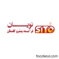 لوگوی شرکت نویان فرایند پیشرو گلستان