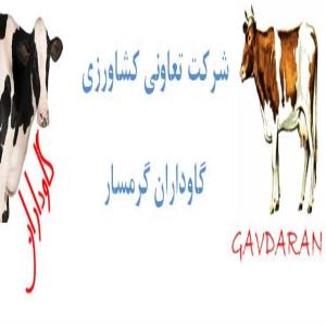 لوگوی شرکت تعاونی گاوداران گرمسار و آرادان