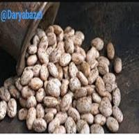 لوگوی شرکت دریاباذل