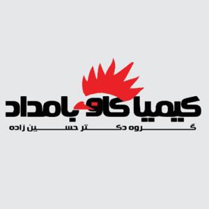 لوگوی شرکت کیمیا کاو بامداد