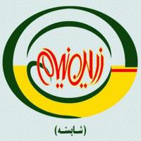 لوگوی شرکت زرین نیام