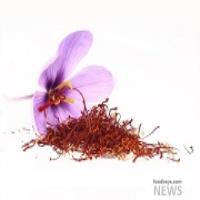 ظرفیت بالای صادرات زعفران ایران به بازارهای اروپایی