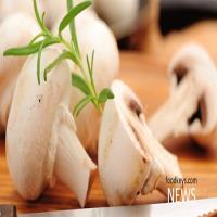 پوزخند قیمت قارچ اشک تولیدکنندگان را در آورد