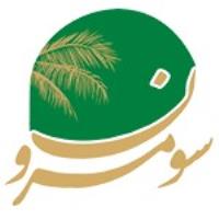 لوگوی شرکت راهبرد گستران سبزینه