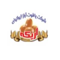 لوگوی شرکت یاقوت آراز ایرانیان