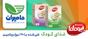 شرکت حامیران loading=