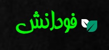 لوگوی فودانش
