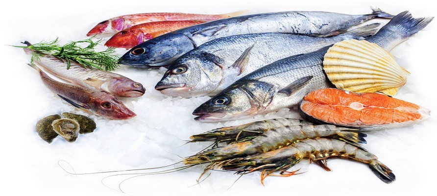 صید ماهیان استخوانی ۸۲ درصد افزایش یافت